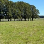 Estancia Ganadera en Río Negro