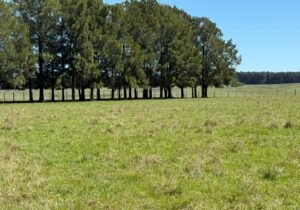 Estancia Ganadera en Río Negro